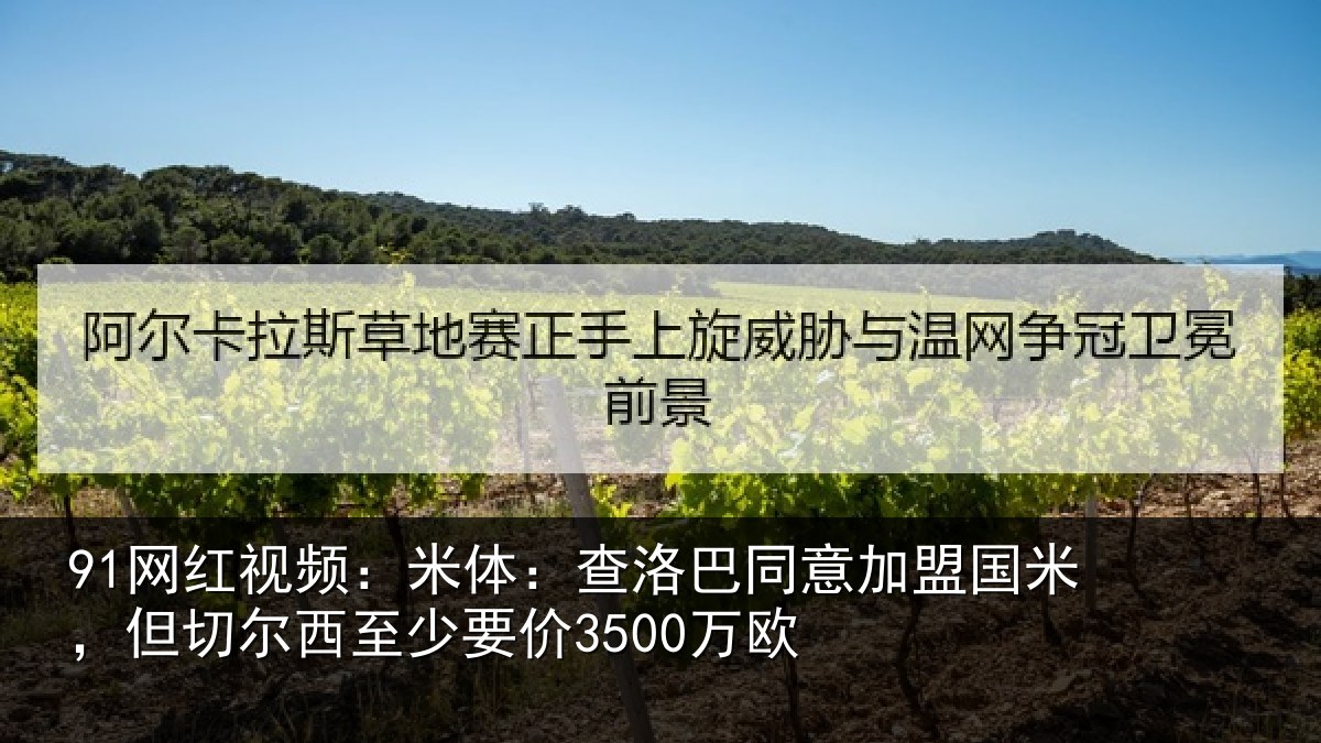 91网红视频：米体相关情况米但相关情况欧